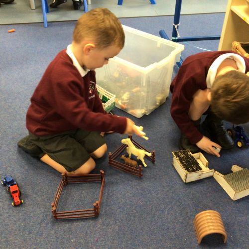 First days in Wrens