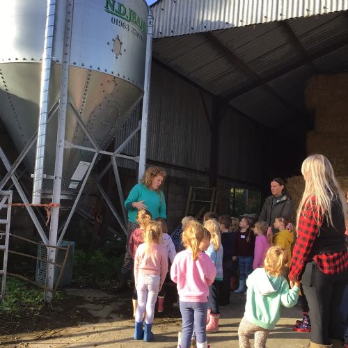 Tokes Farm visit